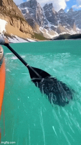 Soothing Images That Are A Treat For Your Eyes