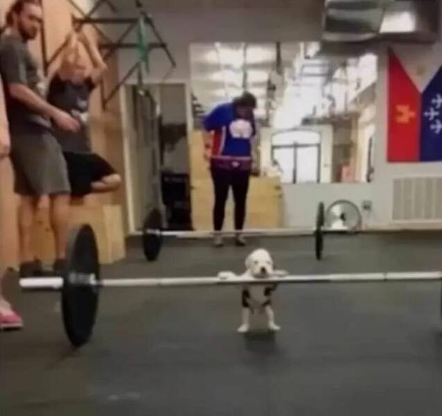 Bold And Powerful: The Best Pics That Go Hard