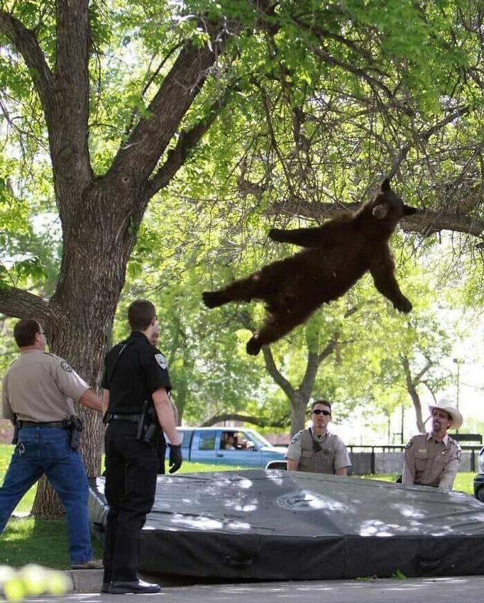 Bold And Powerful: The Best Pics That Go Hard