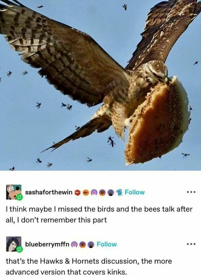 Laugh-Out-Loud Animal Memes That Will Have You Howling