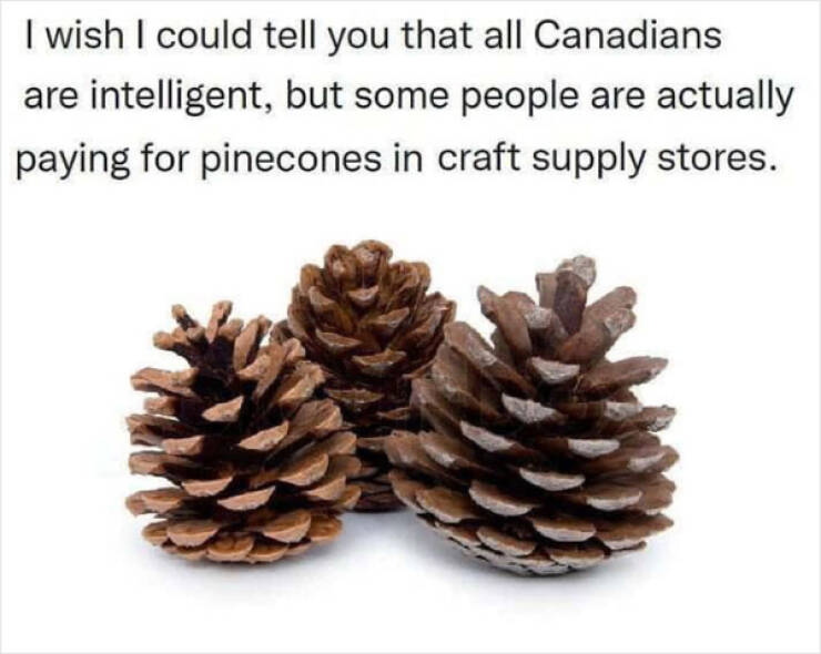 Oh, Canada! Memes That Capture The True North