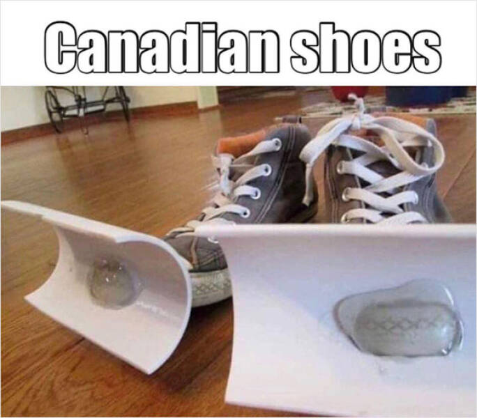 Oh, Canada! Memes That Capture The True North