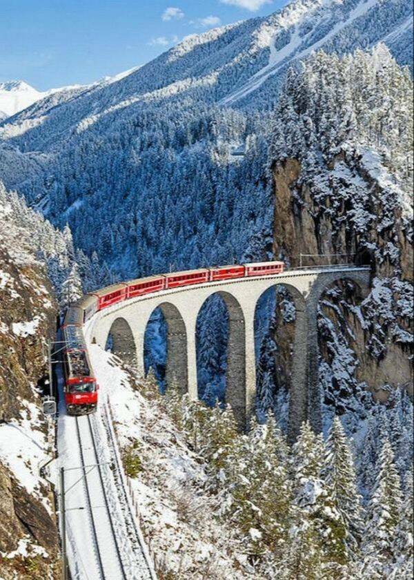 All Aboard! Fascinating Train Facts You Need To Know