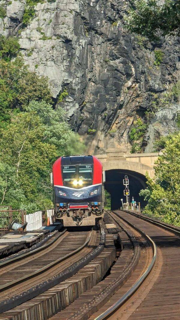 All Aboard! Fascinating Train Facts You Need To Know