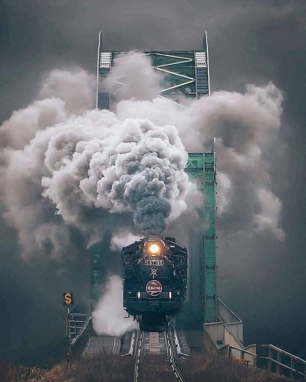 All Aboard! Fascinating Train Facts You Need To Know