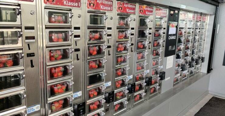 Bizarre Vending Machines That Left People Amazed