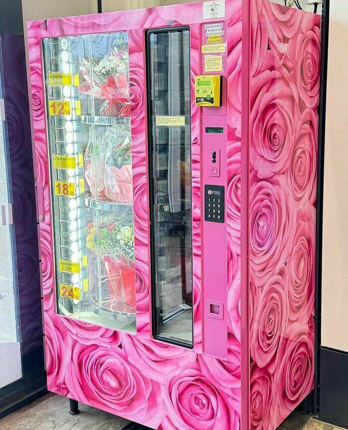 Bizarre Vending Machines That Left People Amazed