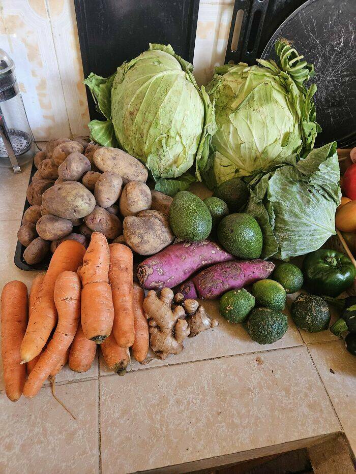 Global Grocery Costs: A Snapshot From Different Cities