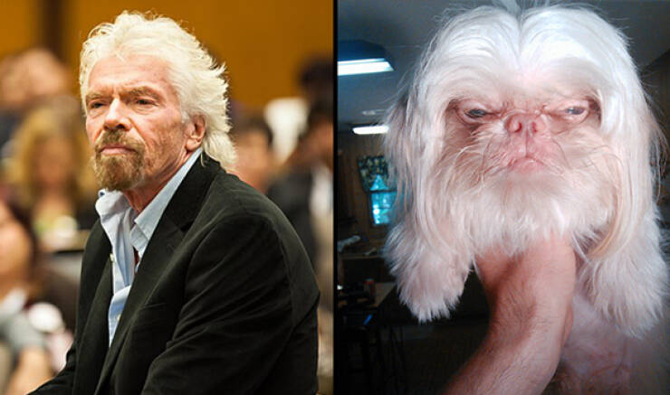 Celebs And Their Cute Animal Lookalikes