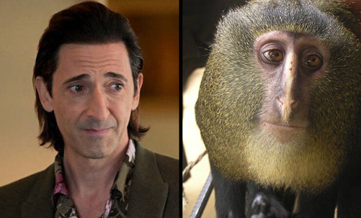 Celebs And Their Cute Animal Lookalikes