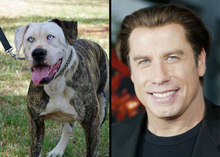 Celebs And Their Cute Animal Lookalikes