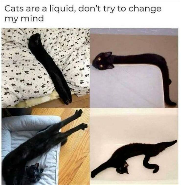 Funny Picdump