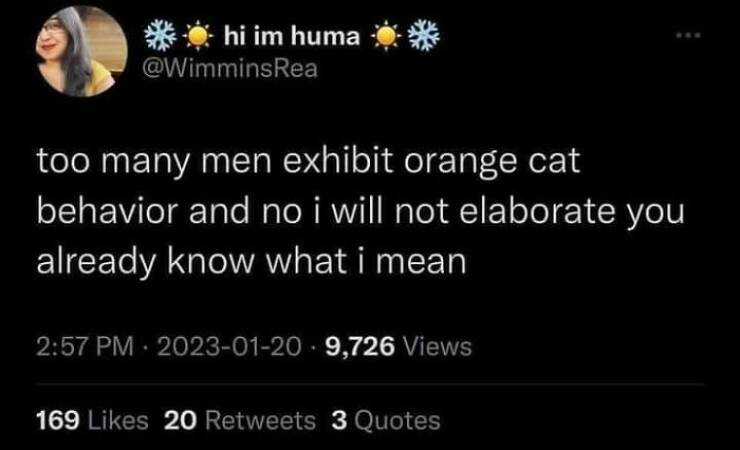 Hilarious And Cute Cat Moments Captured In Memes