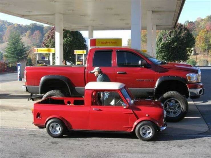 Morning Picdump