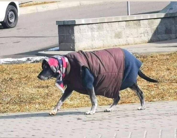Morning Picdump