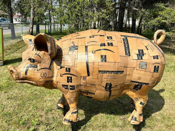 Morning Picdump