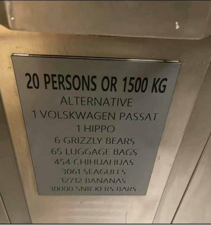 Morning Picdump