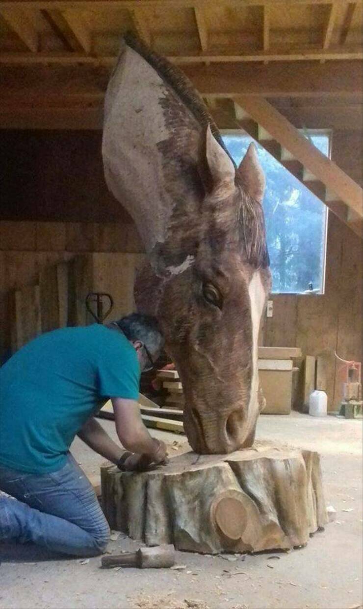 Morning Picdump