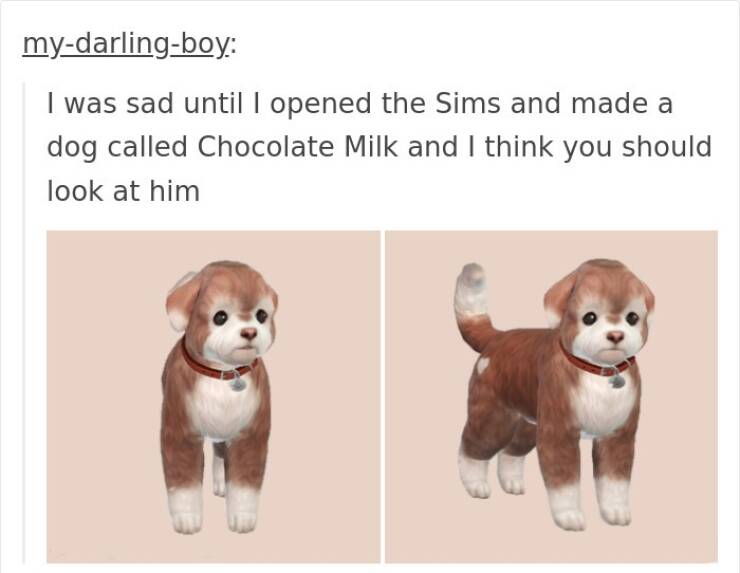 Relatable Sim Memes For Everyone