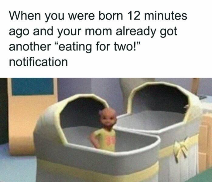 Relatable Sim Memes For Everyone
