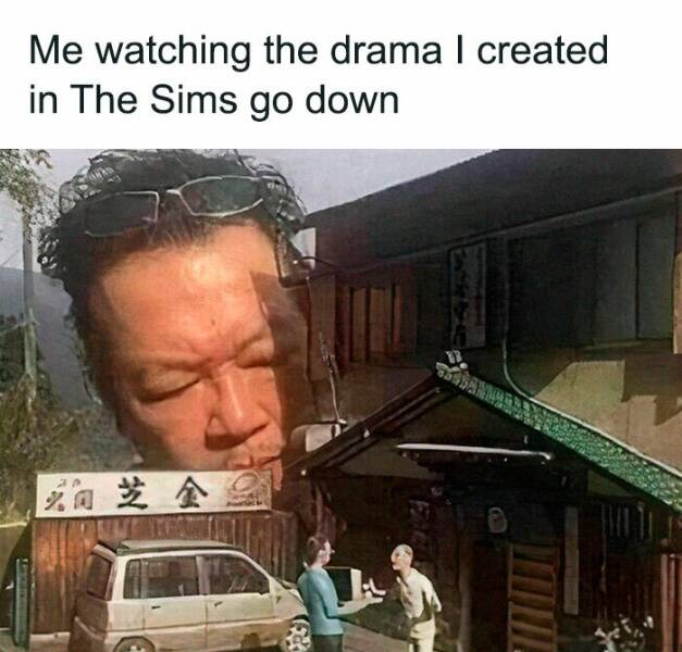 Relatable Sim Memes For Everyone