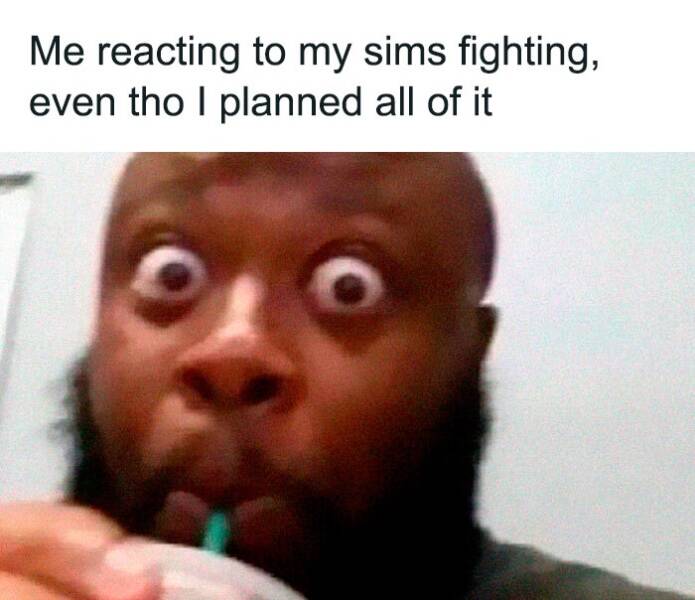 Relatable Sim Memes For Everyone