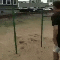 Daily Gifdump