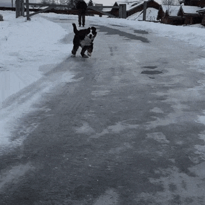Funniest Fails Ever