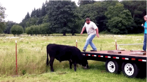Funniest Fails Ever