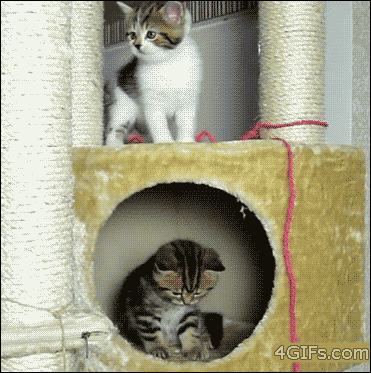 Funniest Fails Ever