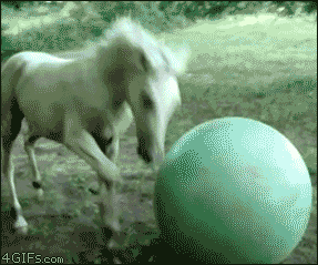 Funniest Fails Ever