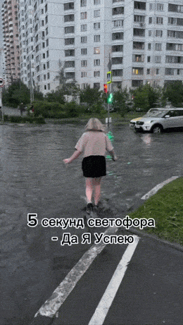 Morning Gifdump