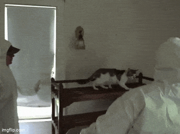 Morning Gifdump