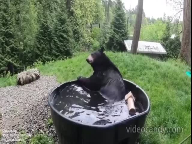 He Is So Happy About This Pool!