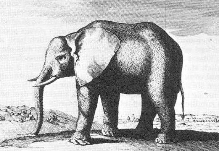 Mind-Blowing Today I Learned Facts You Need To Know