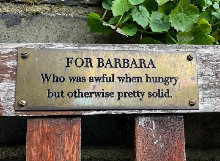 The Most Touching Bench Plaques