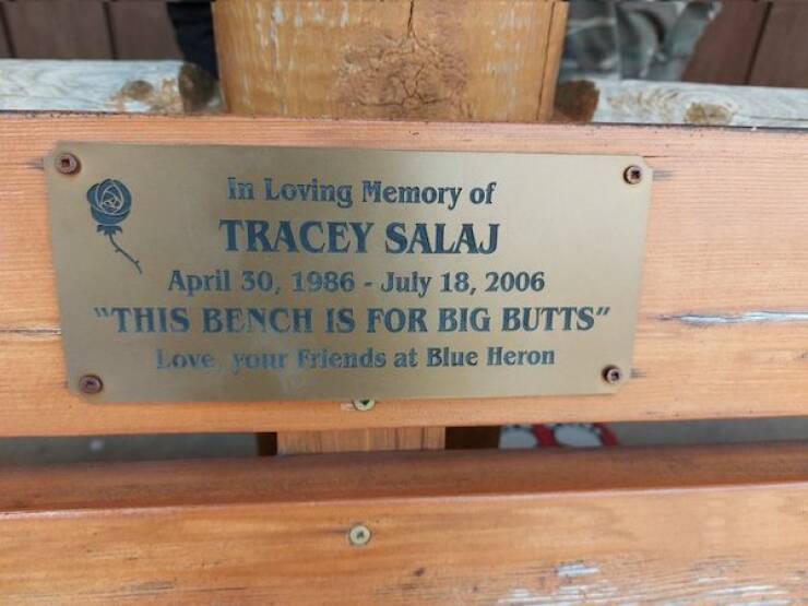 The Most Touching Bench Plaques