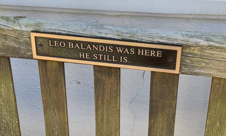 The Most Touching Bench Plaques