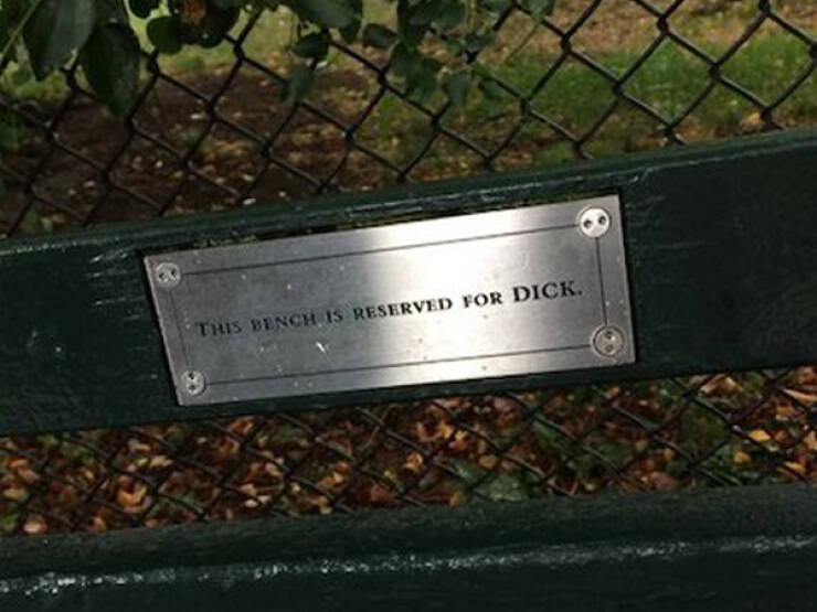 The Most Touching Bench Plaques