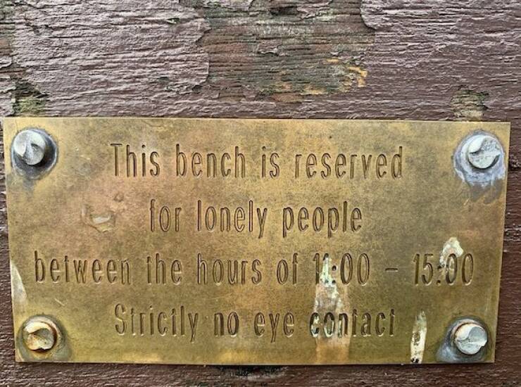 The Most Touching Bench Plaques