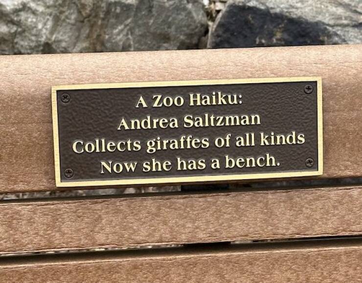 The Most Touching Bench Plaques