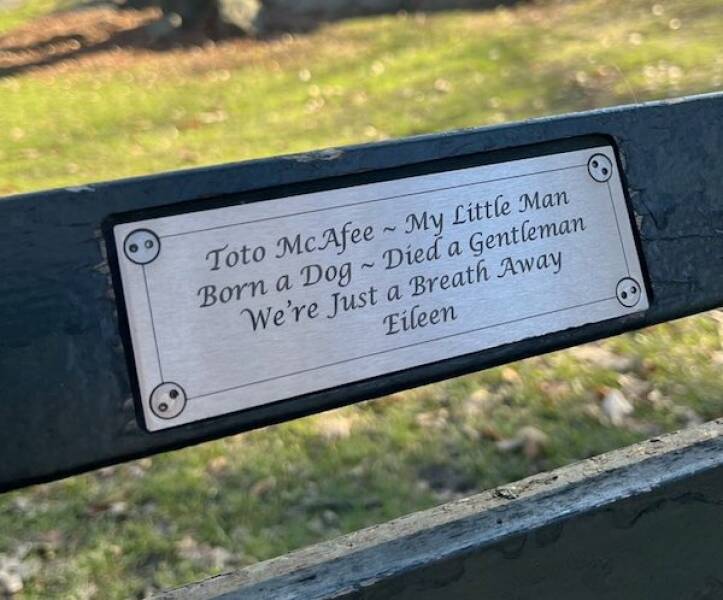 The Most Touching Bench Plaques