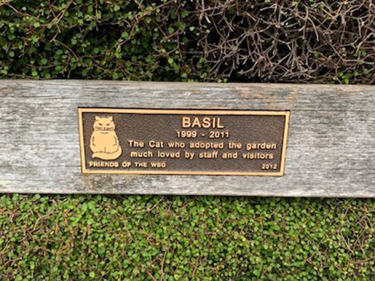 The Most Touching Bench Plaques