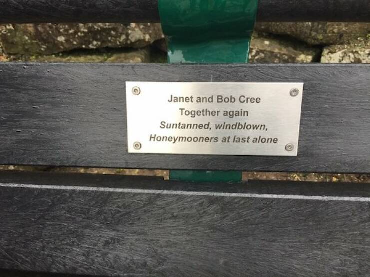 The Most Touching Bench Plaques