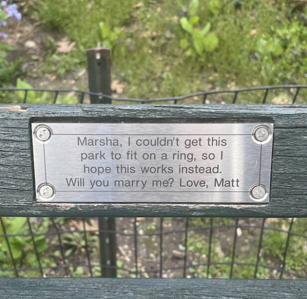 The Most Touching Bench Plaques