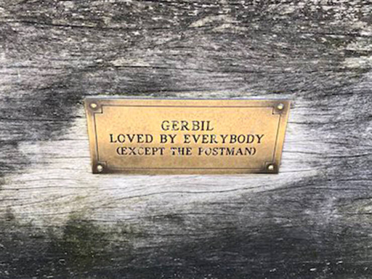 The Most Touching Bench Plaques