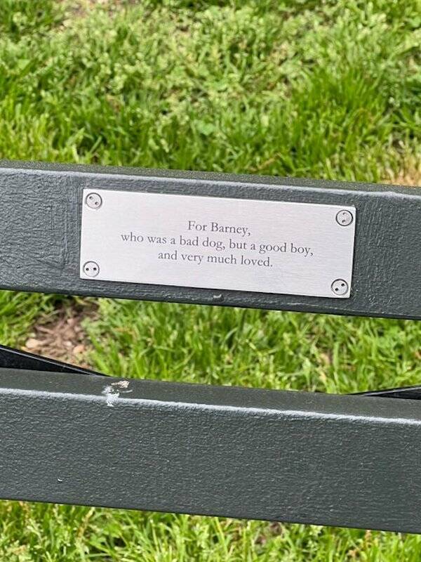 The Most Touching Bench Plaques