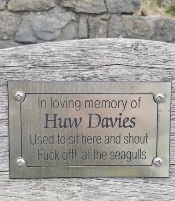 The Most Touching Bench Plaques