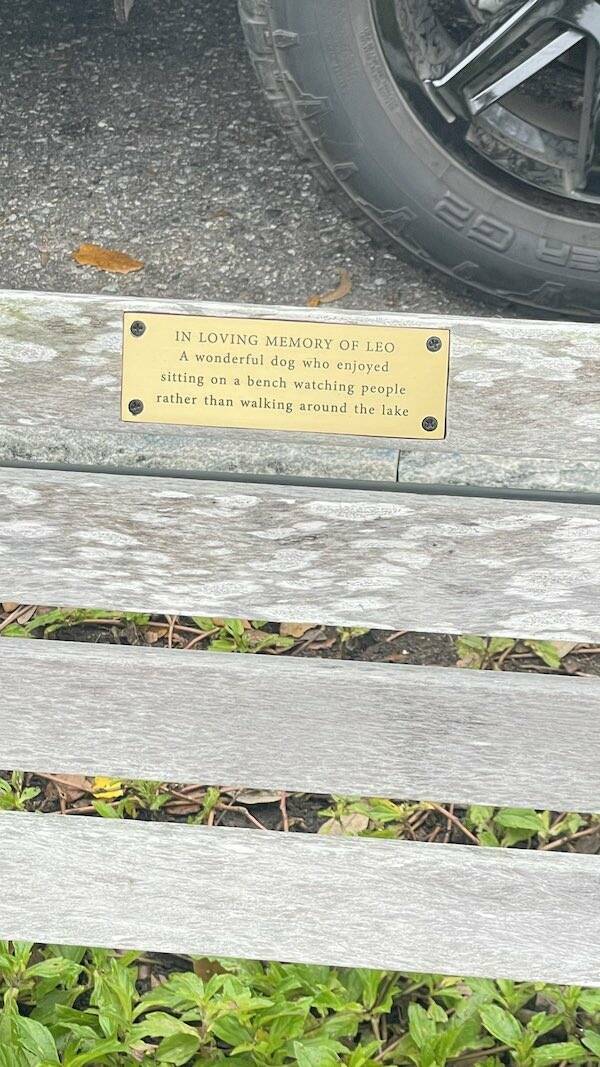 The Most Touching Bench Plaques