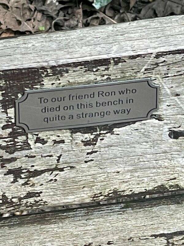 The Most Touching Bench Plaques